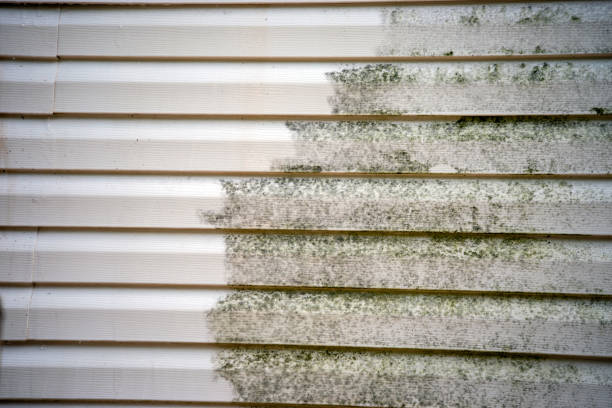 Best Stone Veneer Siding  in Holiday City South, NJ