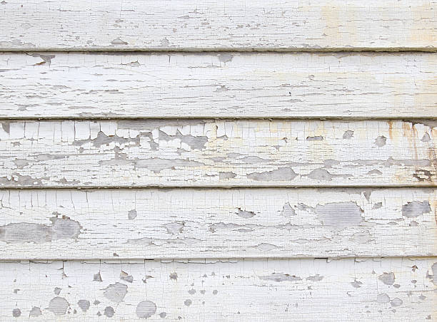 Best Custom Trim and Detailing for Siding  in Holiday City South, NJ